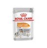 CCN COAT LOAF 12X85G